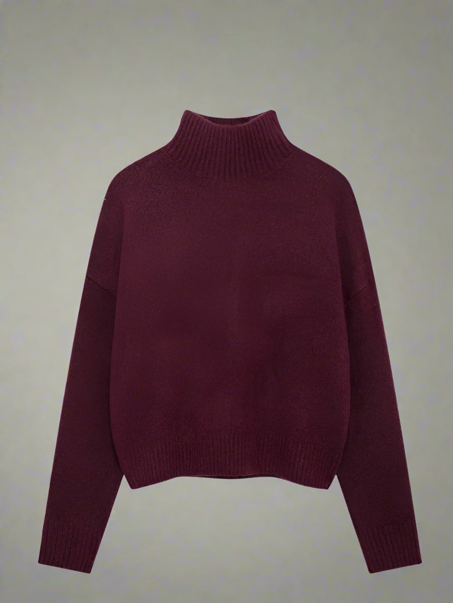 Turtleneck Warm Sweater
