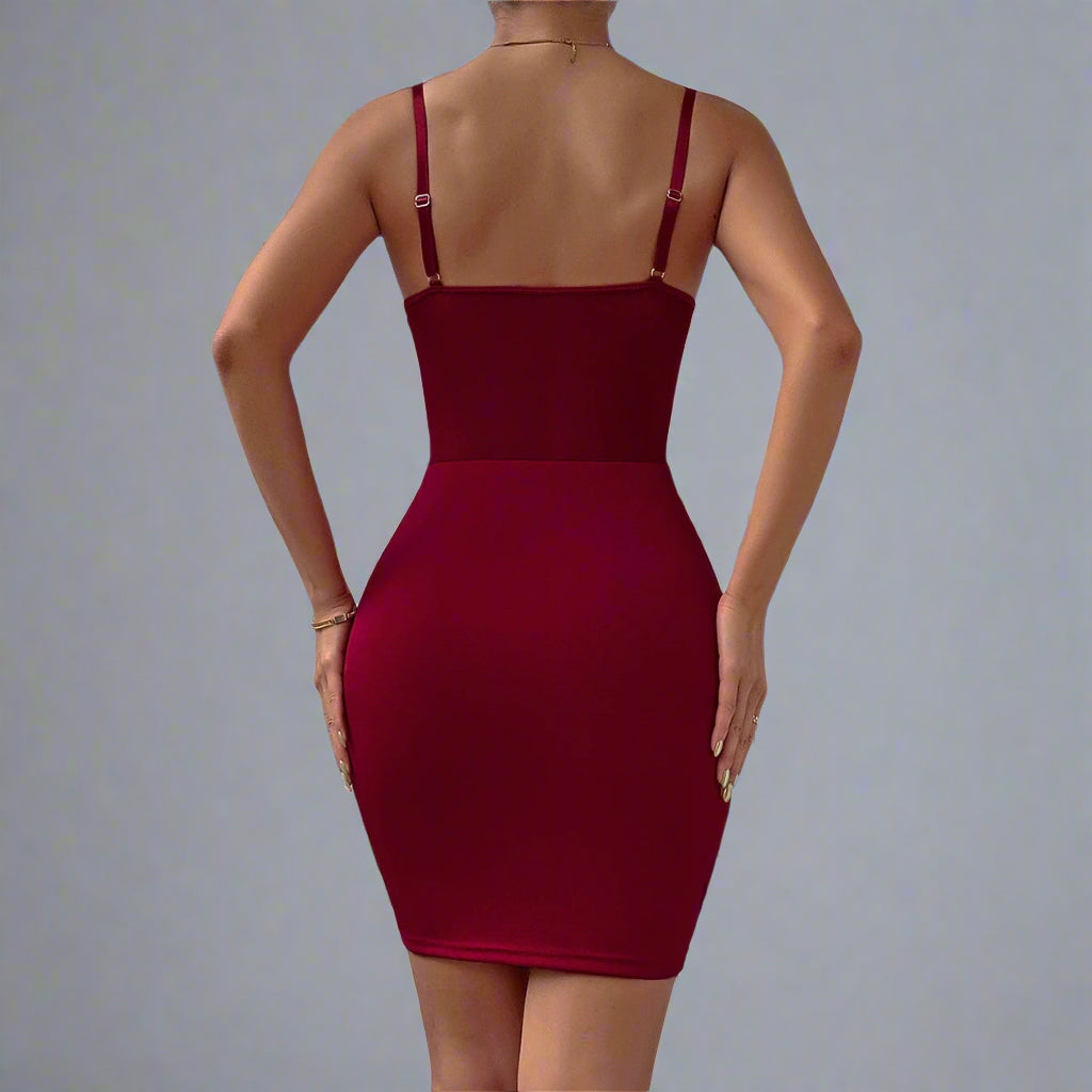 See Through Slim Dress