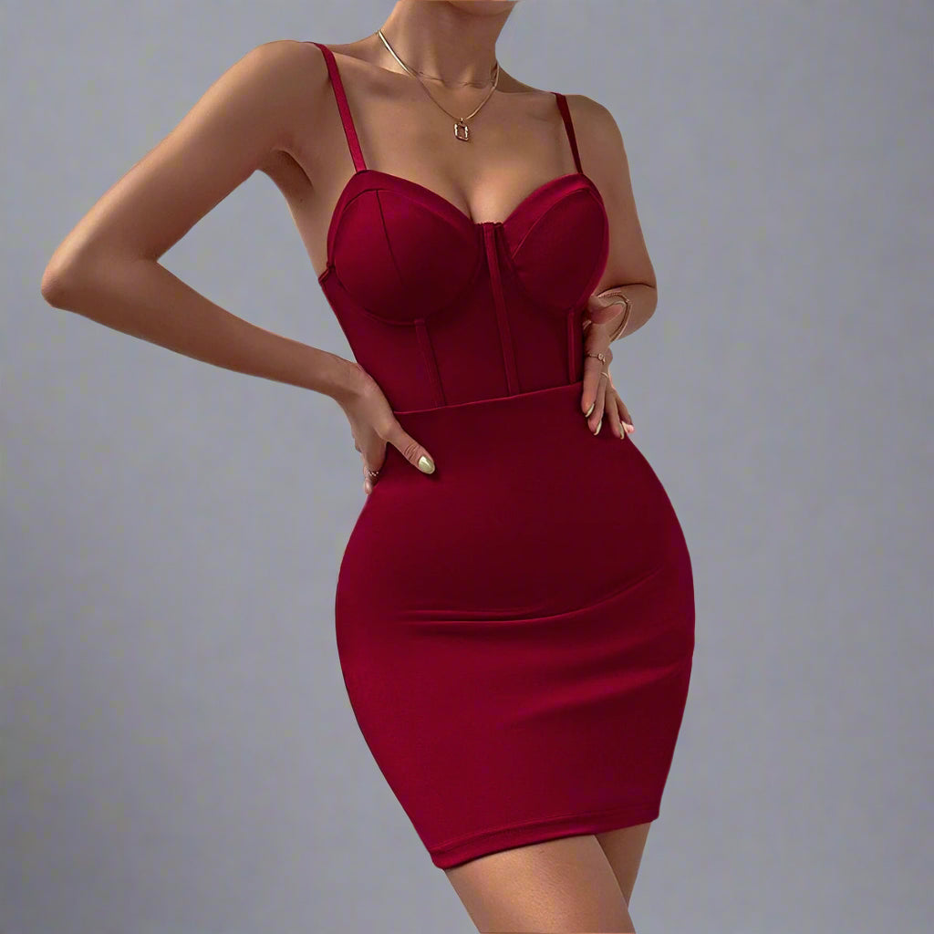 See Through Slim Dress