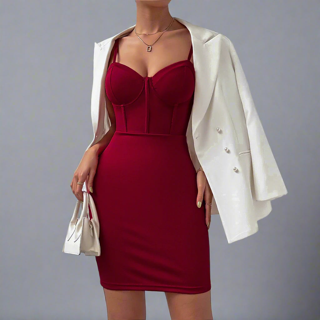 See Through Slim Dress